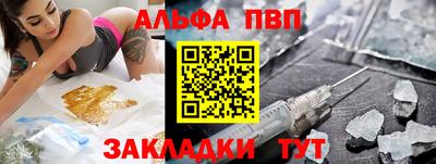 СК Гатчина