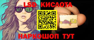 СК Гатчина