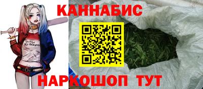 СК Гатчина