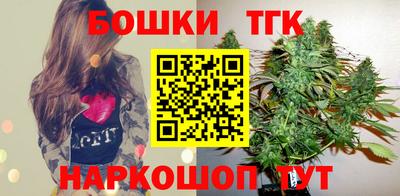 СК Гатчина