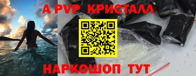 СК Гатчина