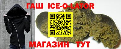 СК Гатчина