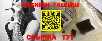 СК Гатчина