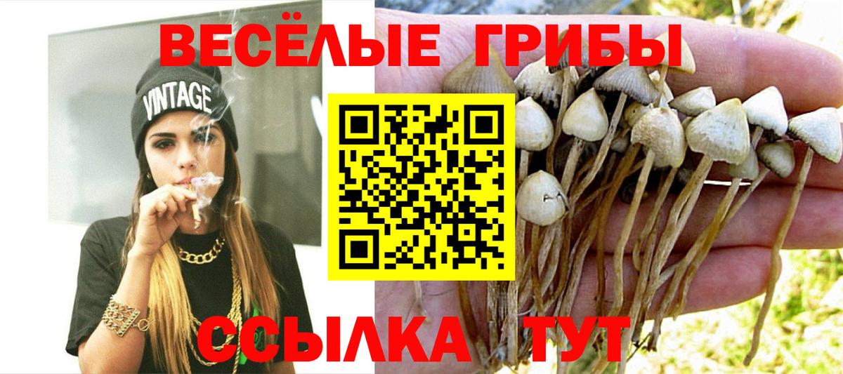 Галлюциногенные грибы ЛСД Майкоп